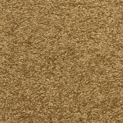 Masland  Morgan Bay Carpet 9550 731