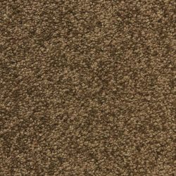 Masland  Morgan Bay Carpet 9550 742