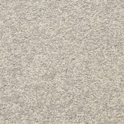 Masland  Morgan Bay Carpet 9550 855