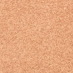 Masland  Morgan Bay Carpet 9550 904
