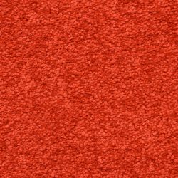 Masland  Morgan Bay Carpet 9550 911