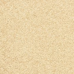 Masland  Vero Beach Carpet 9551 235
