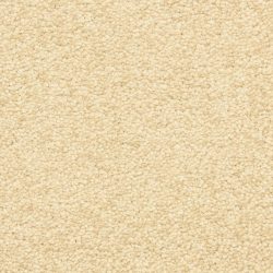 Masland  Vero Beach Carpet 9551 238