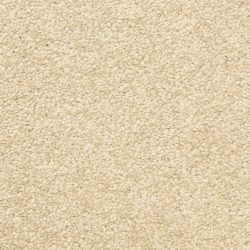 Masland  Vero Beach Carpet 9551 288