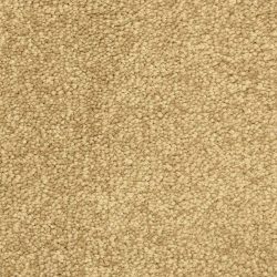 Masland  Vero Beach Carpet 9551 337