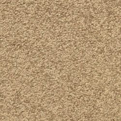 Masland  Vero Beach Carpet 9551 358