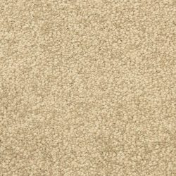Masland  Vero Beach Carpet 9551 398