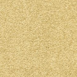 Masland  Vero Beach Carpet 9551 468