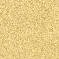 Masland  Vero Beach Carpet 9551 490