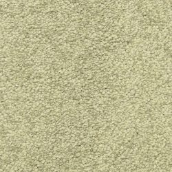 Masland  Vero Beach Carpet 9551 553