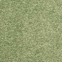 Masland  Vero Beach Carpet 9551 569