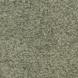 Masland  Vero Beach Carpet 9551 577