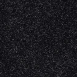 Masland  Vero Beach Carpet 9551 764