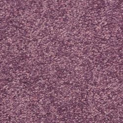 Masland  Vero Beach Carpet 9551 972