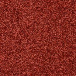 Masland  Vero Beach Carpet 9551 980