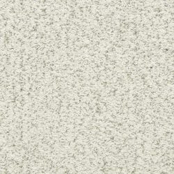 Masland  Sea Grass Carpet 9556 542