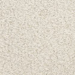Masland  Sea Grass Carpet 9556 643