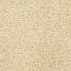 Masland  This And That Carpet 9557 111