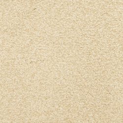 Masland  This And That Carpet 9557 124