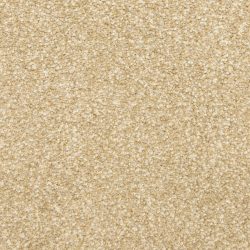 Masland  This And That Carpet 9557 247
