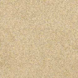 Masland  This And That Carpet 9557 253