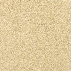 Masland  This And That Carpet 9557 434