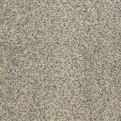 Masland  This And That Carpet 9557 677