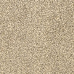 Masland  This And That Carpet 9557 753
