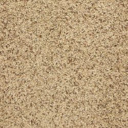 Masland  This And That Carpet 9557 787