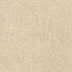 Masland  This And That Carpet 9557 831