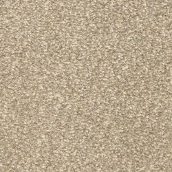 Masland  This And That Carpet 9557 873