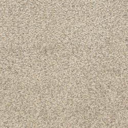Masland  This And That Carpet 9557 887