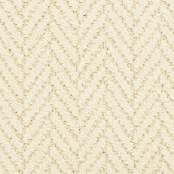 Masland  Distinguished  Carpet 9559 019