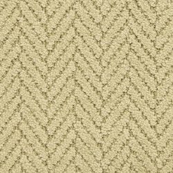 Masland  Distinguished  Carpet 9559 543