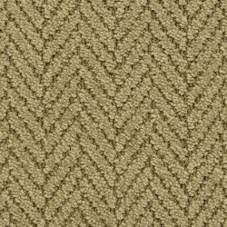 Masland  Distinguished  Carpet 9559 574
