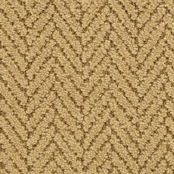 Masland  Distinguished  Carpet 9559 788