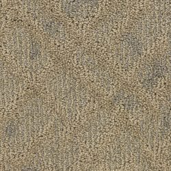 Masland  Orion Carpet 9561 566
