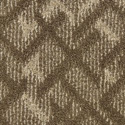 Masland  Orion Carpet 9561 587