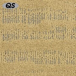 Masland  Nebula Carpet 9562 544