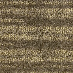 Masland  Jive  Carpet 9567 463