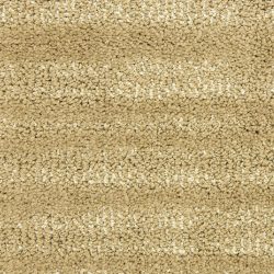 Masland  Jive  Carpet 9567 544
