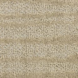 Masland  Jive  Carpet 9567 763