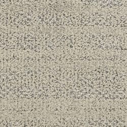 Masland  Jive  Carpet 9567 847
