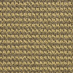 Masland  Tango Carpet 9569 463