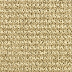 Masland  Tango Carpet 9569 544