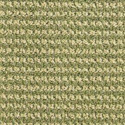 Masland  Tango Carpet 9569 575