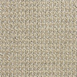 Masland  Tango Carpet 9569 763