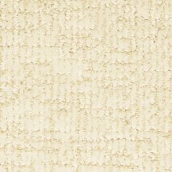 Masland  Dorado Carpet 9587 111