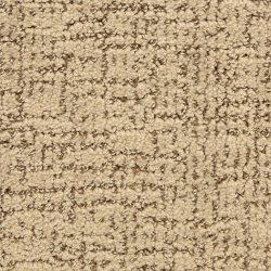 Masland  Dorado Carpet 9587 367