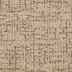 Masland  Dorado Carpet 9587 373